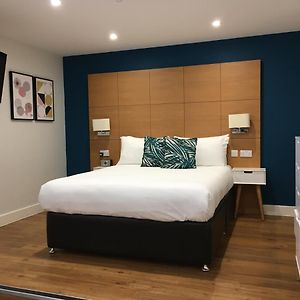 Luxury Studio Apartment